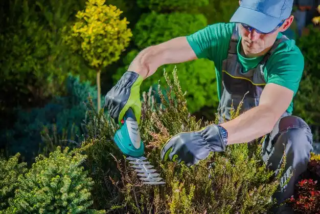 landscaping services Shively